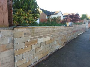 whatsapp image 2021 12 09 at 3.02.14 pm (2)